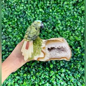 Parrot carving on Agate Geode – Symbol of Awakening & Joy